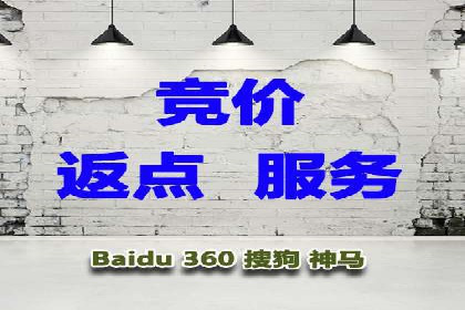 成功案例：sem竞价托管的智慧与策略